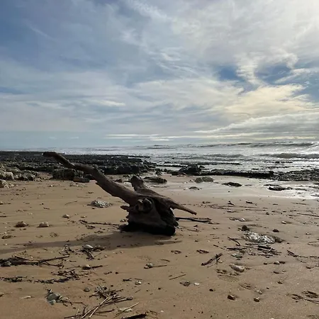Holiday home Les Sables Vignier Saint-Georges-d'Oleron